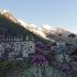 Chamonix Mont Blanc - Une destination idéale